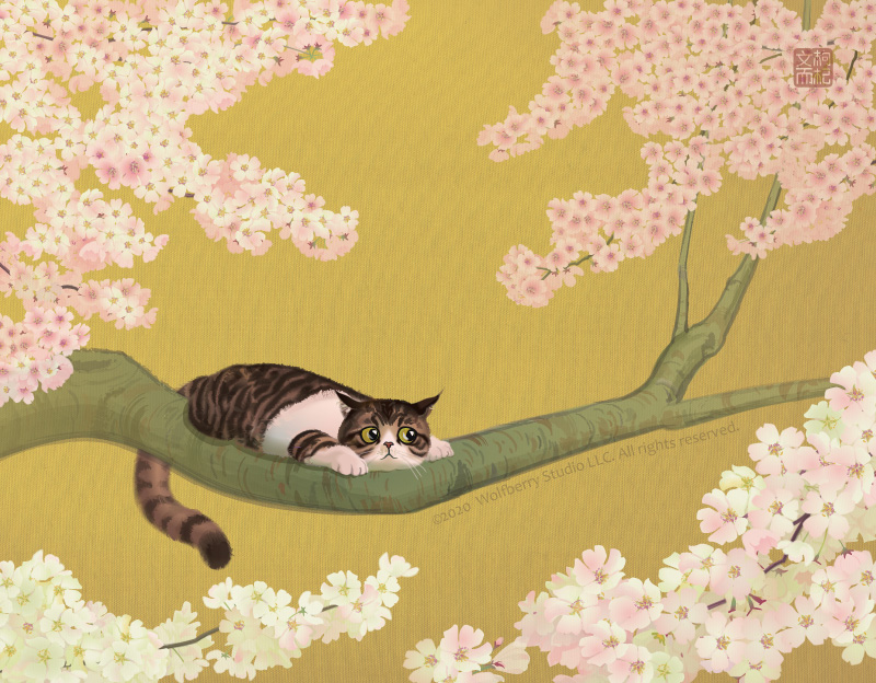 Cat among cherry blossoms
